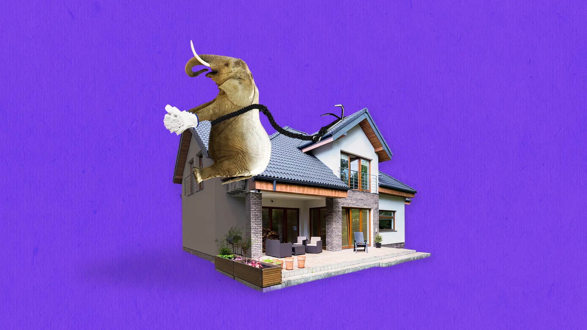 "It can get you up on the roof."