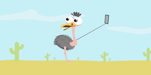Ostrich & Mouse – Character Animation & Storytelling